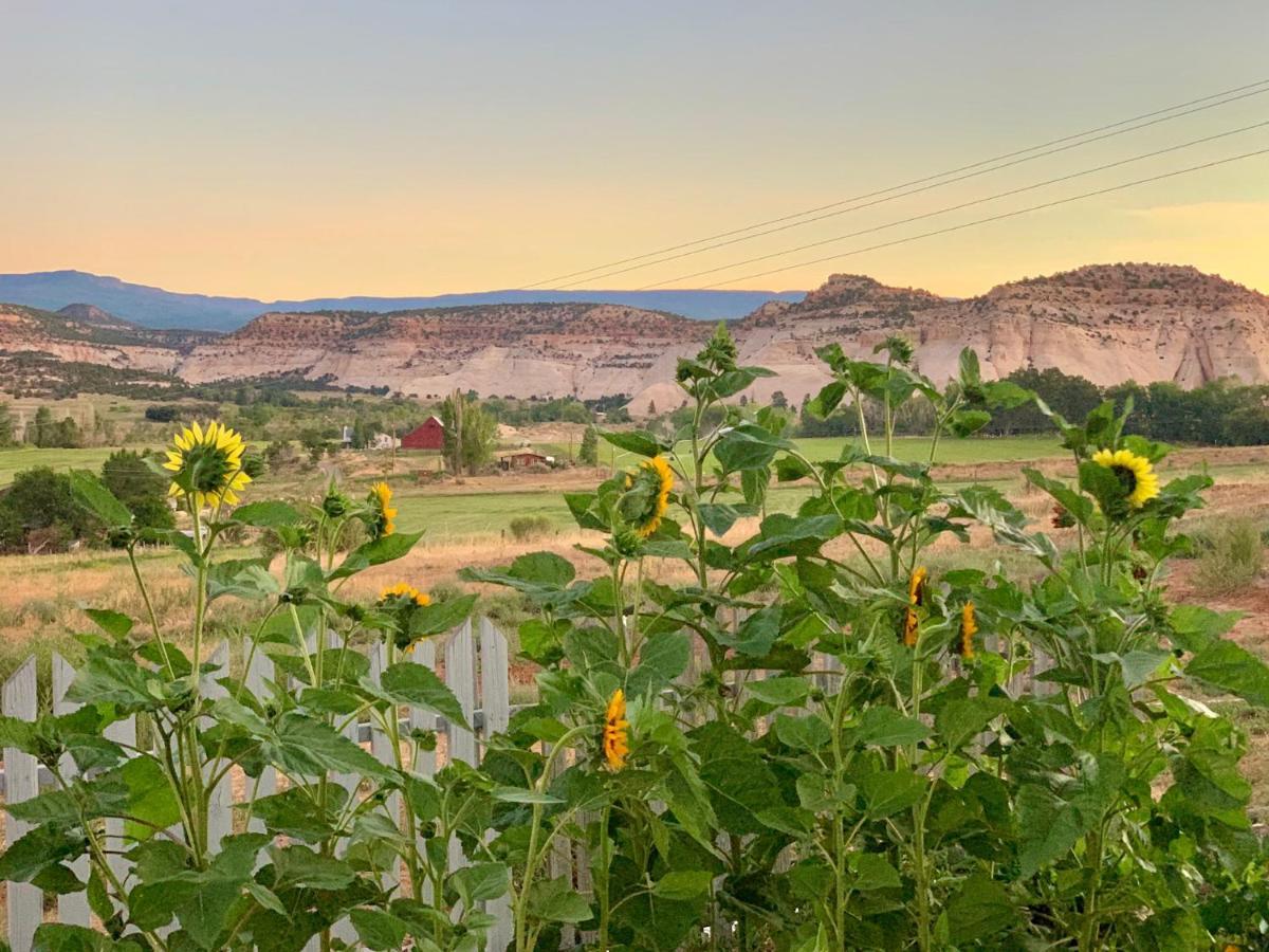 Annie'S Place Bed & Breakfast Boulder Town Exteriör bild